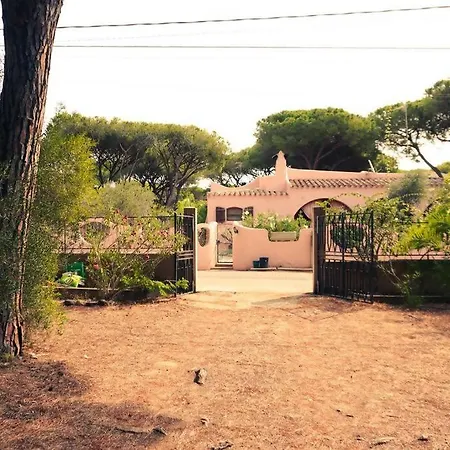 Rustico In Pineta 200 Mt Dalla Spiaggia بيت للعطل فورت فيليدج