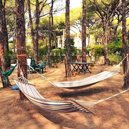 Rustico In Pineta 200 Mt Dalla Spiaggia بيت للعطل