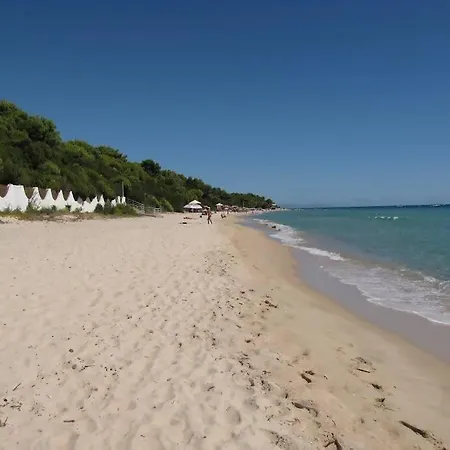 بيت للعطل Rustico In Pineta 200 Mt Dalla Spiaggia فورت فيليدج