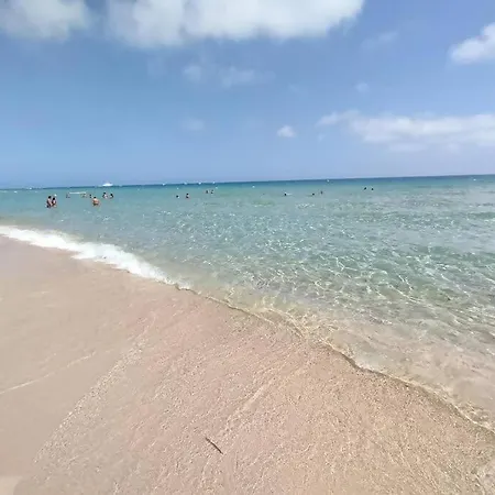 Rustico In Pineta 200 Mt Dalla Spiaggia Ferienhaus