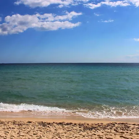 Rustico In Pineta 200 Mt Dalla Spiaggia